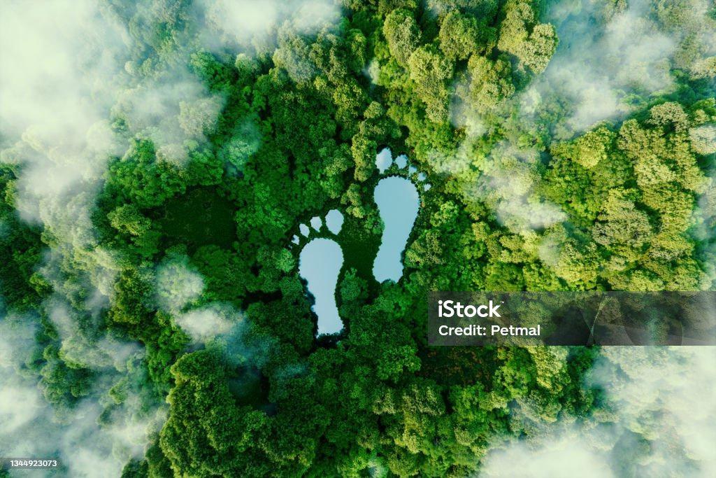 Sustainability